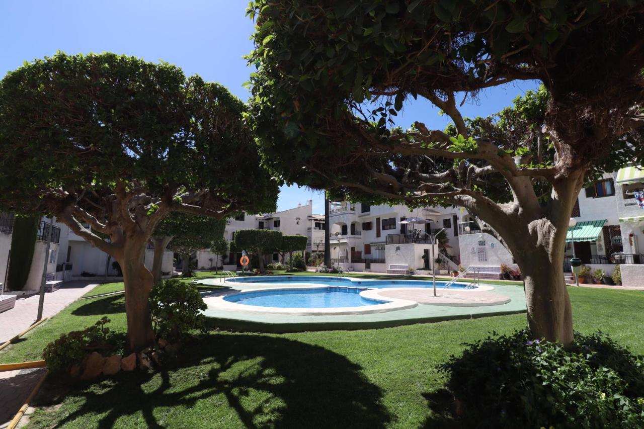Apartment Oleza Sun